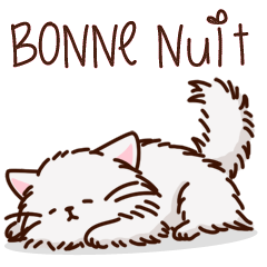 bonne nuit chat